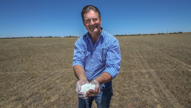 FYI Resources managing director Roland Hill holding a handful of kaolin at the site of their future Cadoux mine.