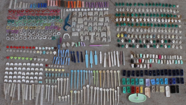 Plastic waste Colleen Hughson collected from Warrnambool's beaches.