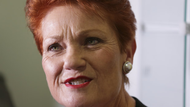 One Nation Leader Pauline Hanson speaks about the super changes on Monday. 