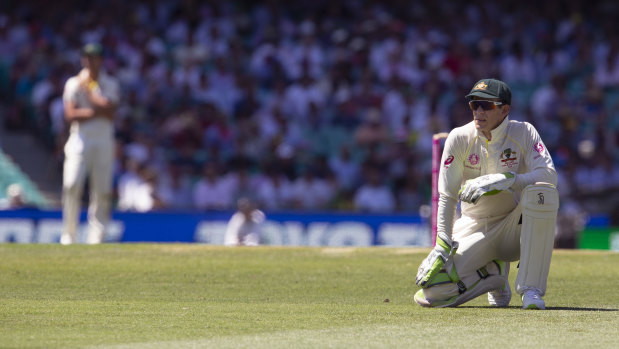 Paine and suffering: The Australian captain watches as another ball races away to the boundary.