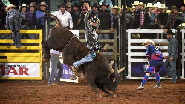 A competitor takes part in the open bull ride event at the Mount Isa Mines Rotary Rodeo on Friday.