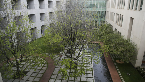 The 'budget tree', which is normally a blazing red colour when the budget is handed down, seen in this spring time budget.