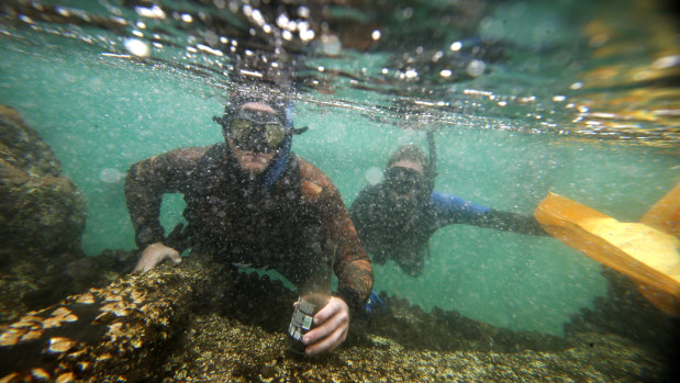 Snorkellers help to clear rubbish out of the water at North Wollongong.