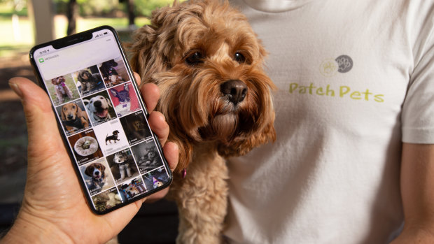 Is your hound lonely? A new app could connect them to their new best friend.