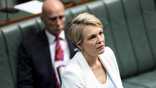 Labor spokeswoman for education and training, Tanya Plibersek.