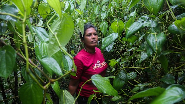 Farmer Nimali Atukorale had to abandon land she had leased after the fertiliser ban.