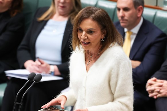 Minister for Small Business, Minister for International Development, and Minister for Multicultural Affairs Dr Anne Aly during question time.