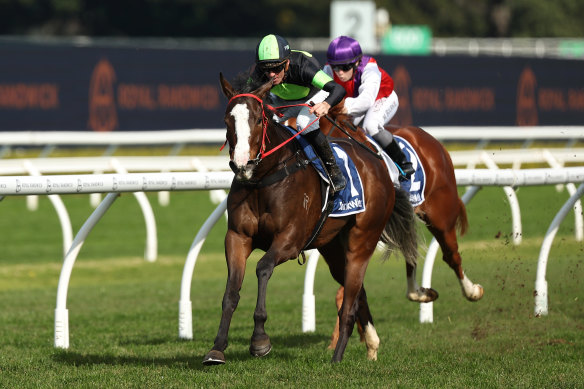 In Flight makes it a hat-trick at Randwick last July.