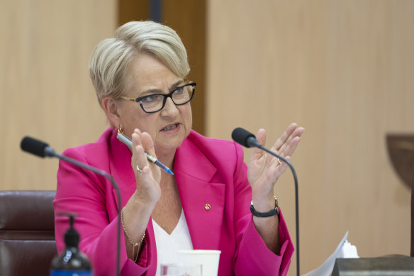 Greens senator Barbara Pocock at a parliamentary hearing.