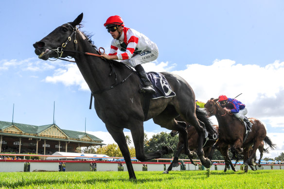 Miss Siska has joined Matthew Smith's stable ahead of the spring.