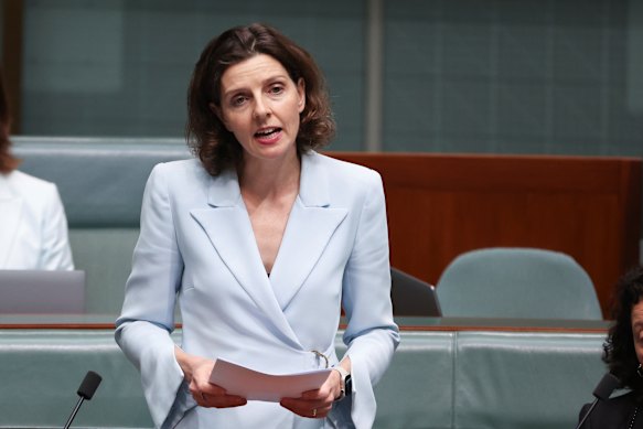 The member for Wentworth, Allegra Spender.
