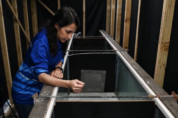 Maryam Farzadkhoo, a UNSW PhD candidate, who has been developing the methods to draw the fish towards the tube fishway.