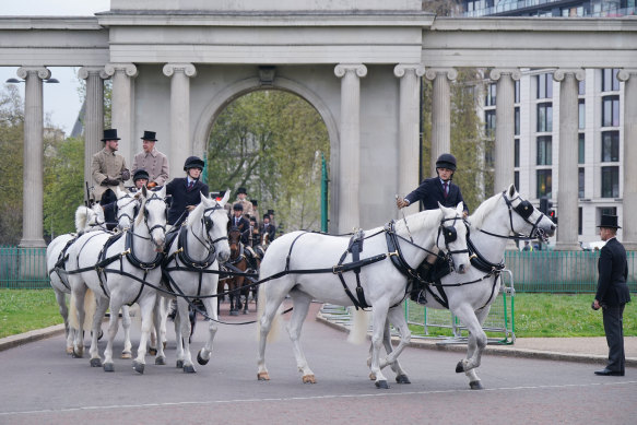 Six of the eight Windsor Grey horses which will pull the Gold State Coach.