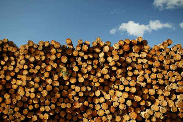 The plan would drive the growth of  softwood plantations. 