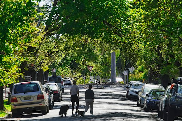Leafy Wellington Street.