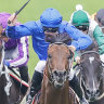Anamoe (blue silks) is the one to beat in the Winx Stakes.
