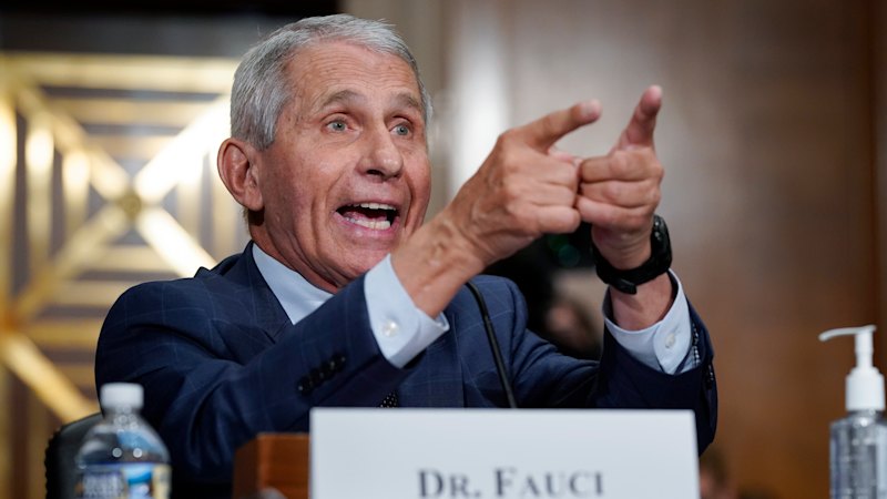 Leaked diary reports Anthony Fauci’s views as he prepares for Senate pandemic hearing
