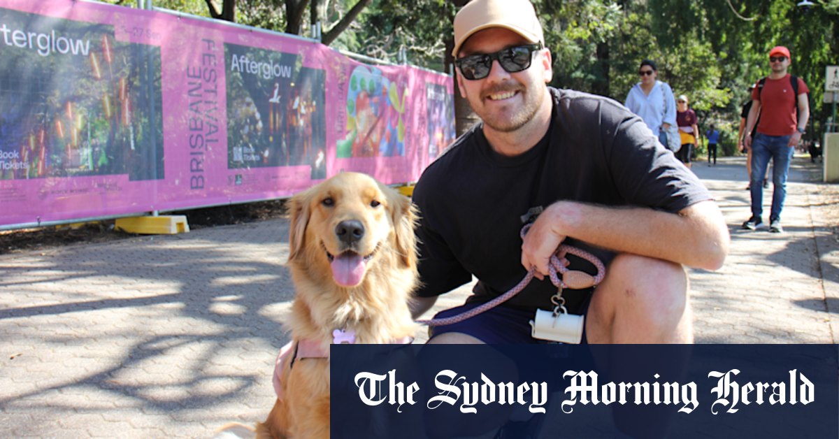 In a leash of their own: Brisbane’s top dog breeds and names revealed