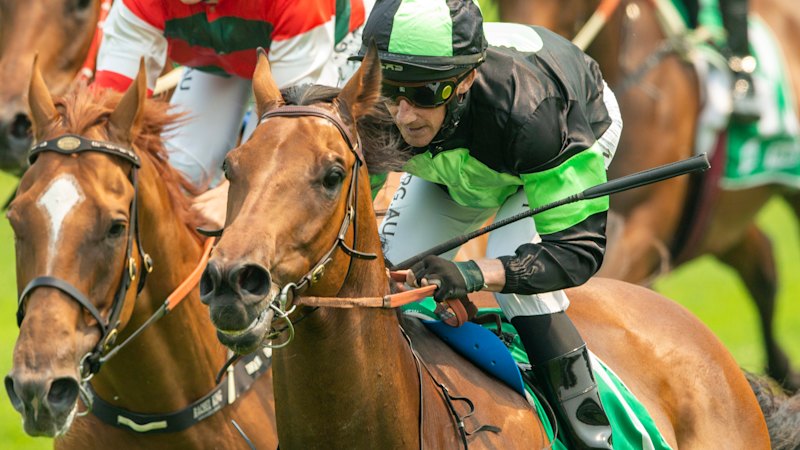 smh.com.au - Ray Hickson - Race-by-race tips and preview for Warwick Farm on Wednesday