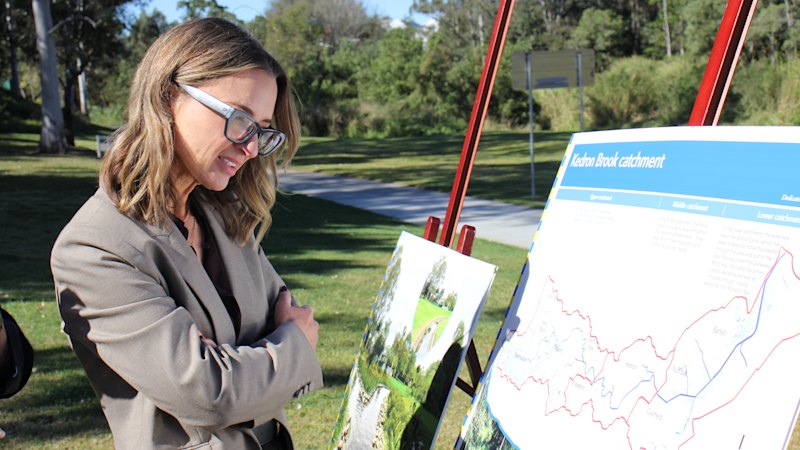 Multimillion-dollar plan to reshape suburban creek revealed