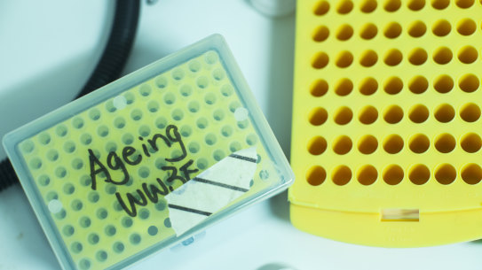 Anti-ageing research is in the spotlight.