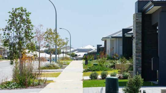 A street in Landsdale where trees remain sparse.