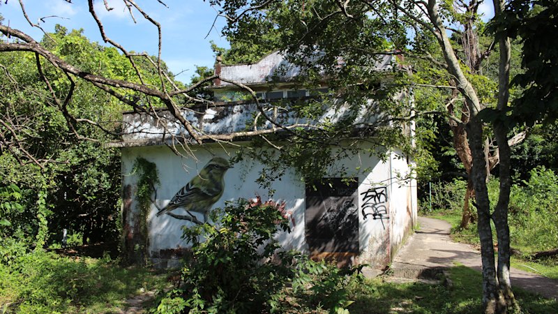 In one of the world’s glitziest cities is a hidden, abandoned highlight