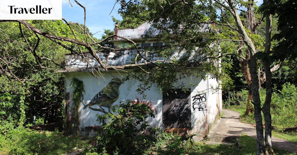 In one of the world’s glitziest cities is a hidden, abandoned highlight