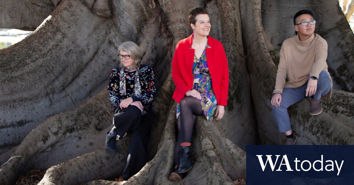 Perth Artists Harness Tech to Showcase City's Shot-Hole Borer Crisis – A $75,000 Immersive Art Project