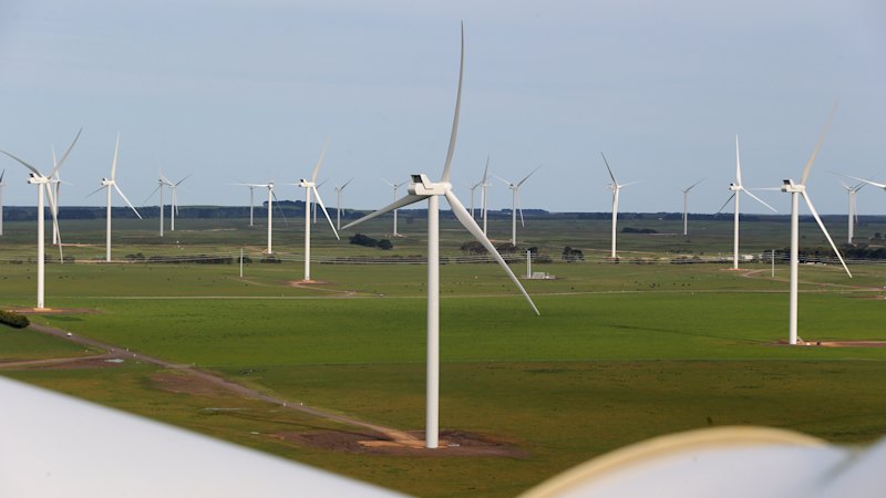 ‘It is ideology, not economics’: Queensland accused of driving away renewables investment