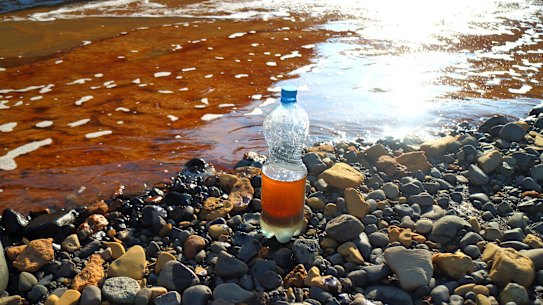 This handout photo provided by Vasiliy Ryabinin is thought to show oil spill outside Norilsk, 2,900 kilometres northeast of Moscow.