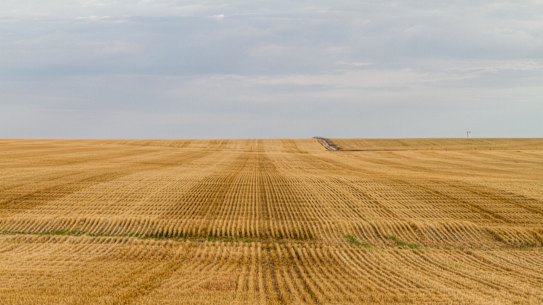 A $2.4 billion offer for Graincorp from Long-Term Asset Partners has been withdrawn.