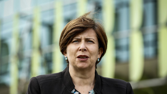 Royal Children’s Hospital chief executive Bernadette McDonald speaking to reporters this afternoon.