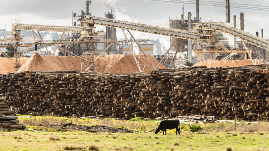 Australian Paper's plant near Morwell.