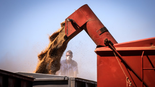 China could soon target imports of Australian wheat, after already turning its attention to barley, wine, cotton and beef, have rattled the market. 
