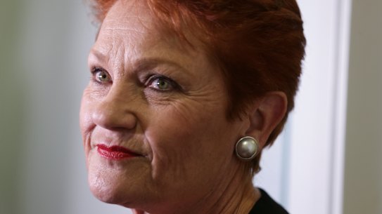 One Nation Leader Pauline Hanson asked the government to make her the co-chair of the parliamentary committee.