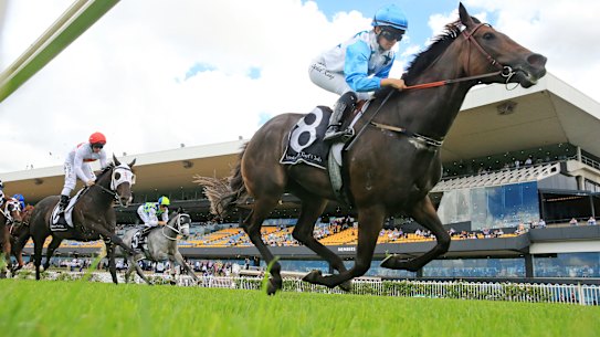 Nimalee will chase her first group 1 in the Queen of the Turf at Royal Randwick.