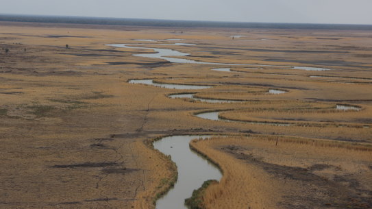 The purchase of The Great Cumbung Swamp will create a conservation area, including the neighbouring Yanga National Park, of about 200,000 hectares.
