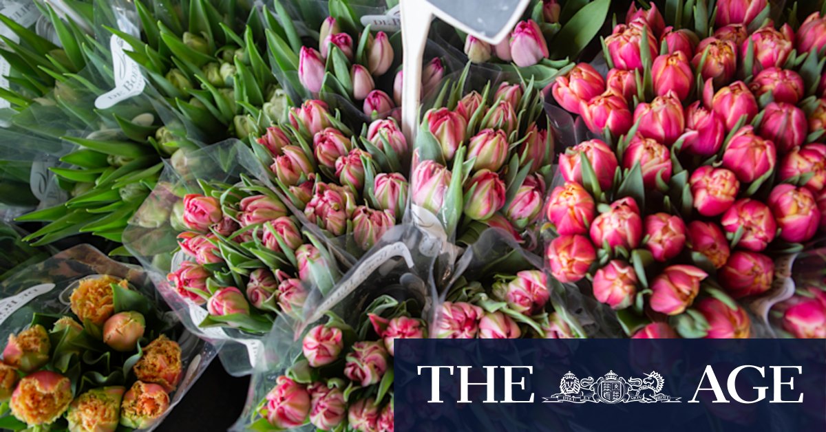 Mother's Day Flowers: price hikes and shortages hit flower industry - Vimarsana News
