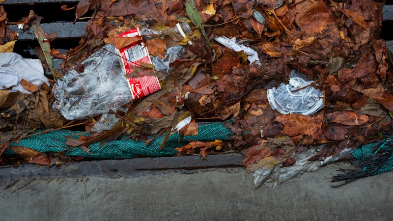 ‘Nothing seems to be happening’: Is Queensland falling behind on plastic bans?
