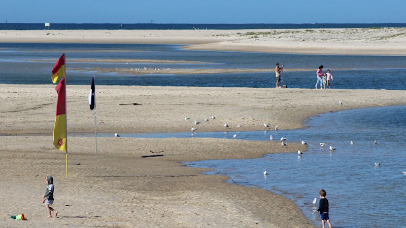 Search for swimmer missing from Sunshine Coast beach
