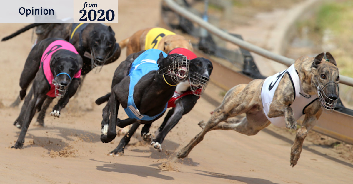 The Fitz Files: Why greyhound racing's new code is a complete crock