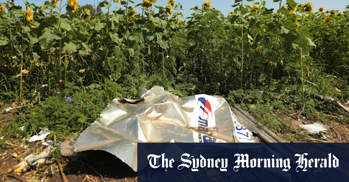 MH17 verdicts further proof of Putin's contempt for life and law - Vimarsana News