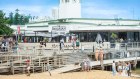 The Bavarian Bier Cafe at the Manly Wharf in Sydney.