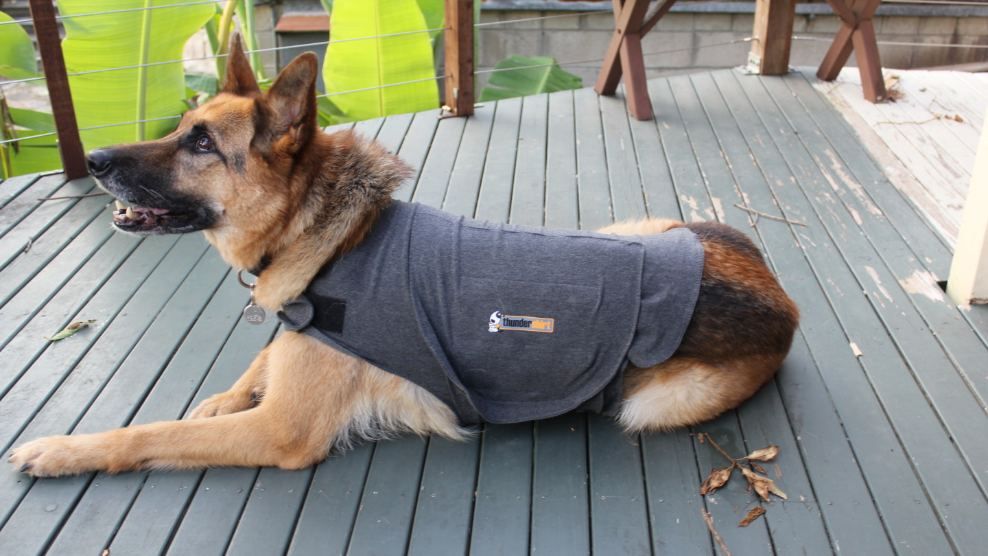 Thundershirt for german shepherd best sale