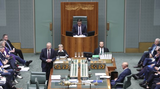 Anthony Albanese addresses the parliament on the final sitting day of 2024.