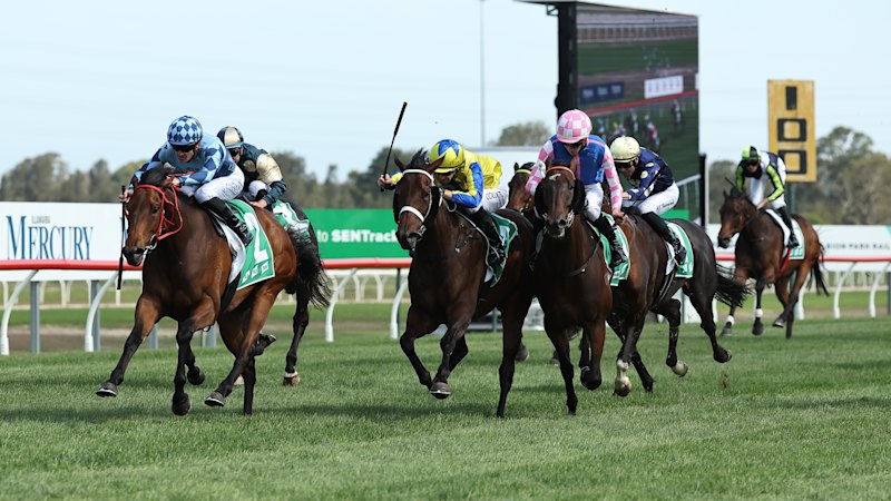 Race-by-race preview and tips at Kembla Grange on Thursday