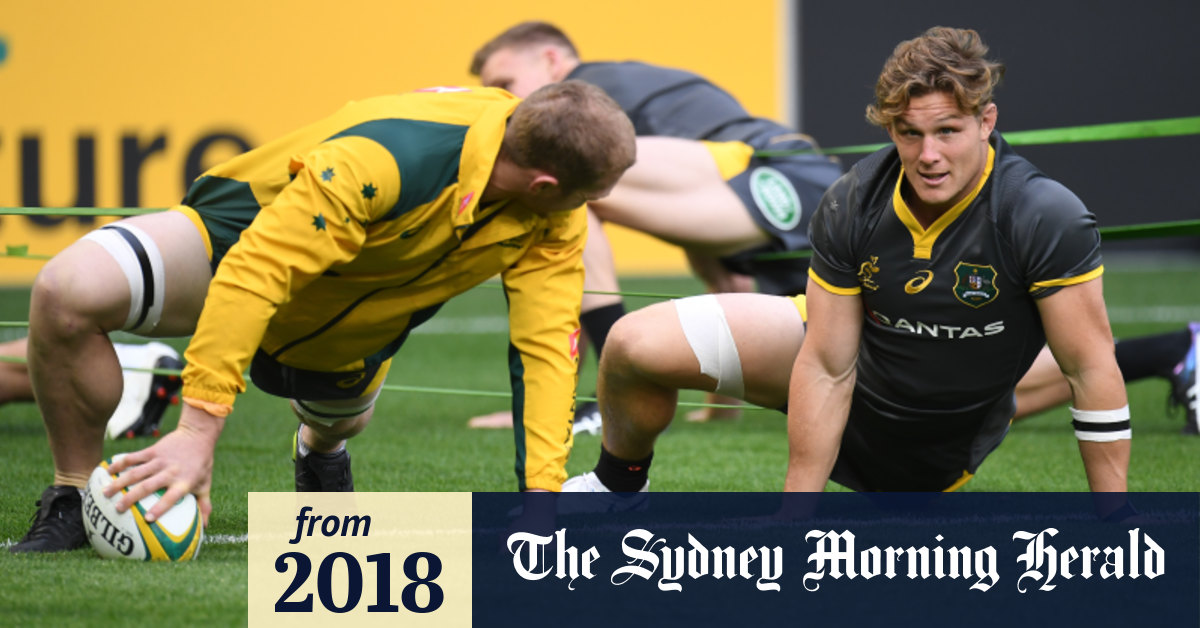 Wales Flanker Wary Of Wallabies World Class Duo Pocock And Hooper