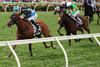 Jamie Melham rides Half Yours to win the Lexus Melbourne Cup last year.