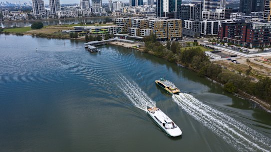 An older RiverCat ferry, left, passes a new RIver-class vessel on the Parramatta River on Tuesday.